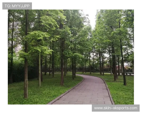 桑德兰攻防转换效率高，生存希望大增